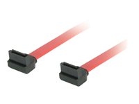 C2g 81818 C2G - Cable SATA - Serial ATA 150/300/600 - SATA (H) a SATA (H) - 50 cm - rojo
