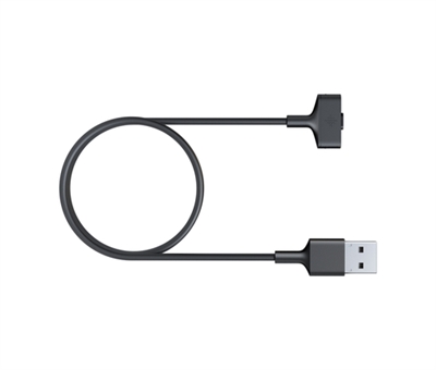 Fitbit FB164RCC Fitbit - Cable de solo carga - USB (solo alimentación) macho - para Fitbit Ionic