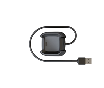 Fitbit FB166RCC Fitbit - Cable de solo carga - USB (solo alimentación) macho - 39.4 cm - para Fitbit Versa