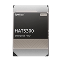 Synology HAT5300-12T - 