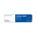 Western-Digital WDS250G3B0C - 