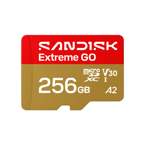 Sandisk SDSQXGN-256G-GN6MN