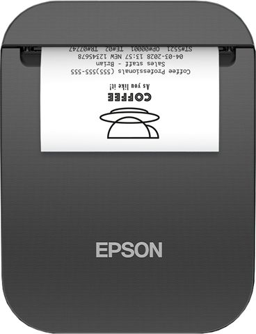 Epson C31CJ99101