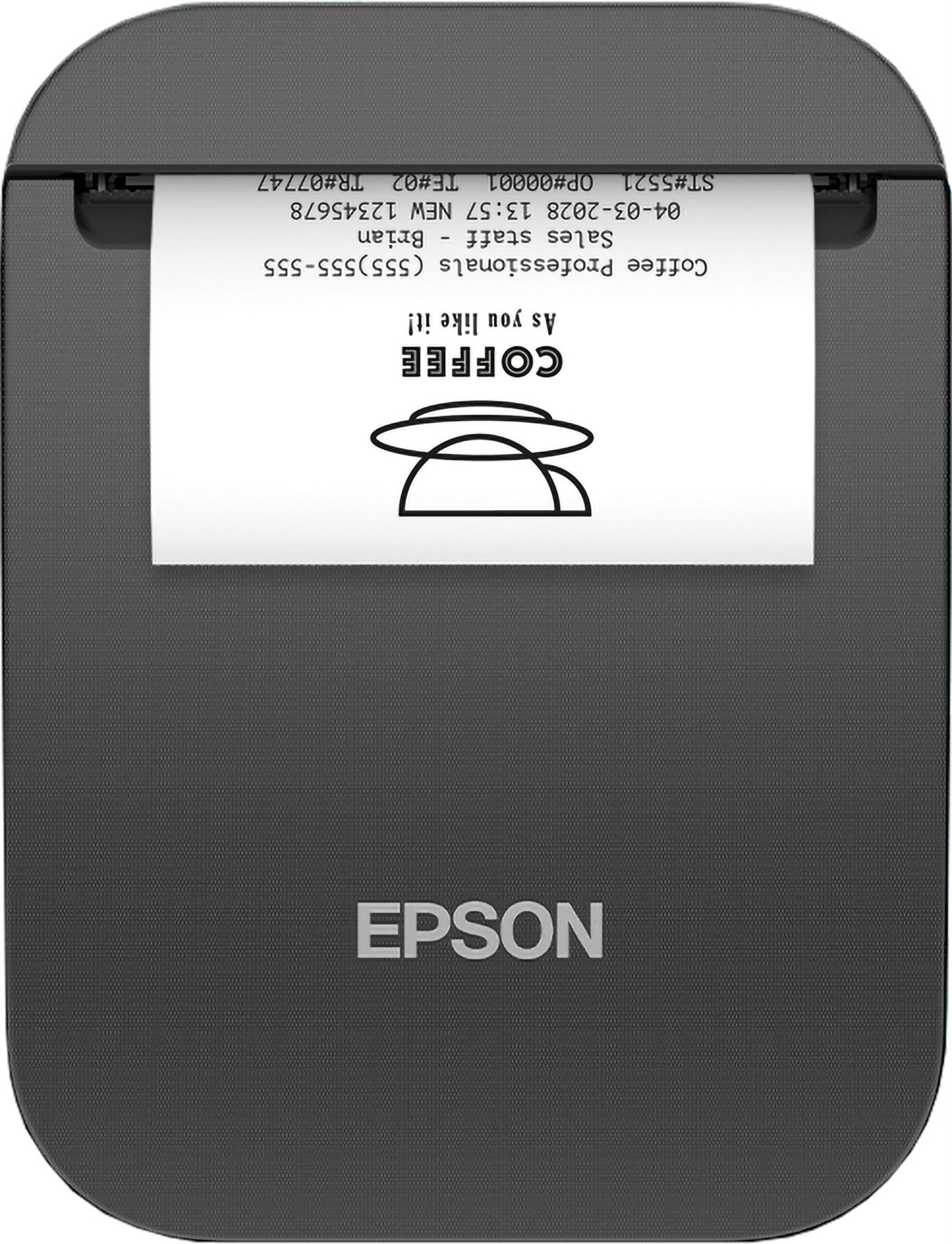 Epson C31CJ99101