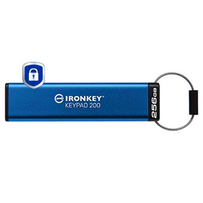 Kingston IKKP200/256GB