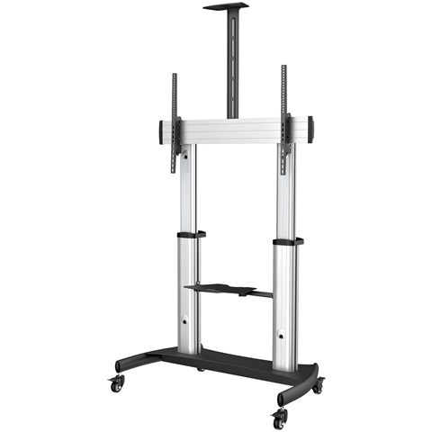 Startech STNDMTV100