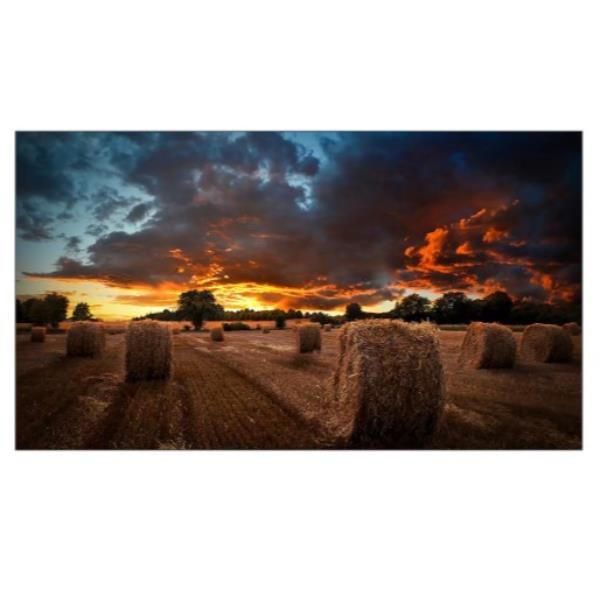 Samsung LH55VMBUBGBXEN