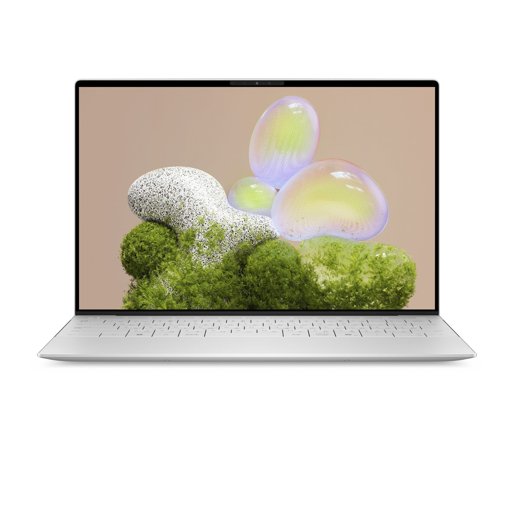 Dell FMDDY
