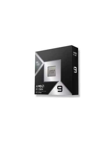 AMD 100-100001978WOF
