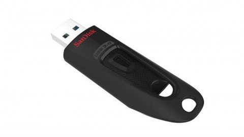 Sandisk SDCZ48-256G-U46