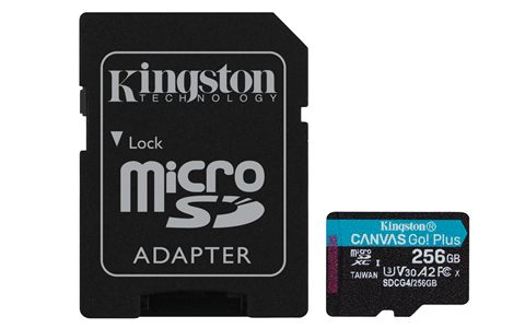Kingston SDCG4/256GB