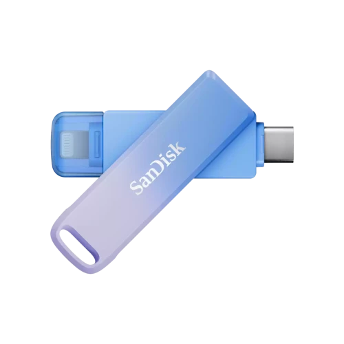 Sandisk SDIXD0N-256G-GN6TP