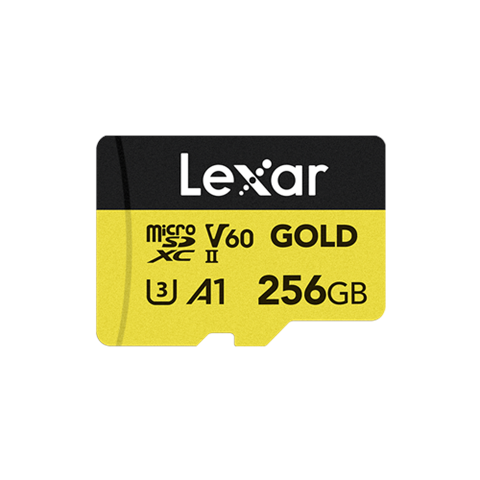Lexar LMSGOLD256G-BNNNG
