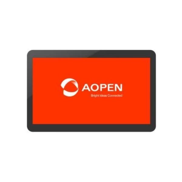 Aopen 491.WT300.4020