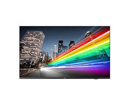 Philips 55BFL2214/12