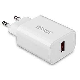 Lindy 73412