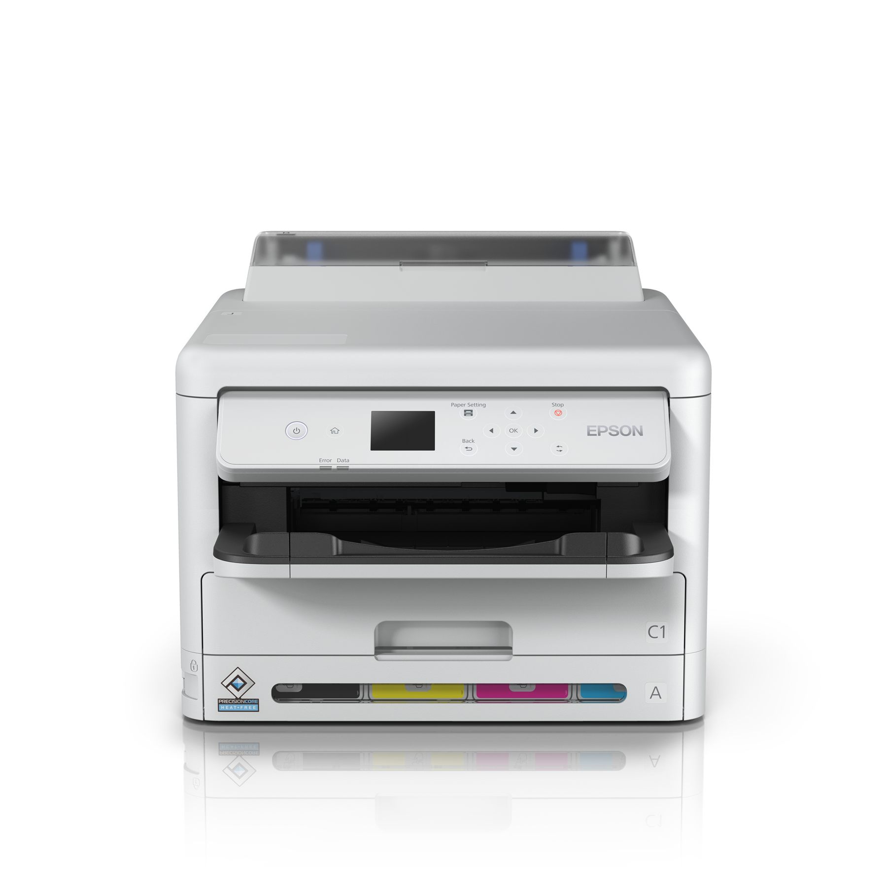 Epson C11CK25401