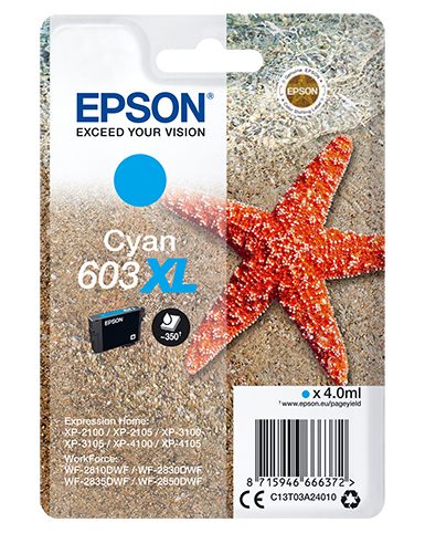 Epson C13T03A24010