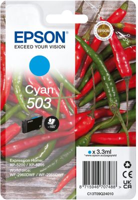 Epson C13T09Q24020