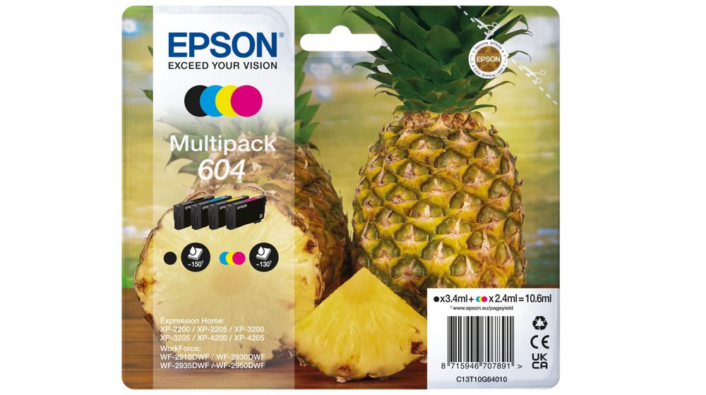 Epson C13T10G64010
