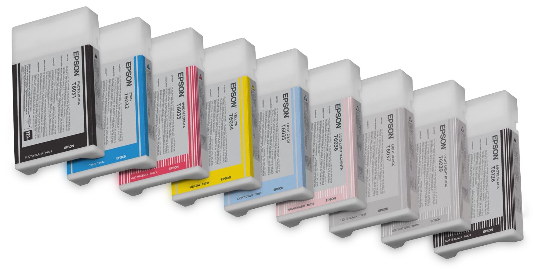 Epson C13T603900