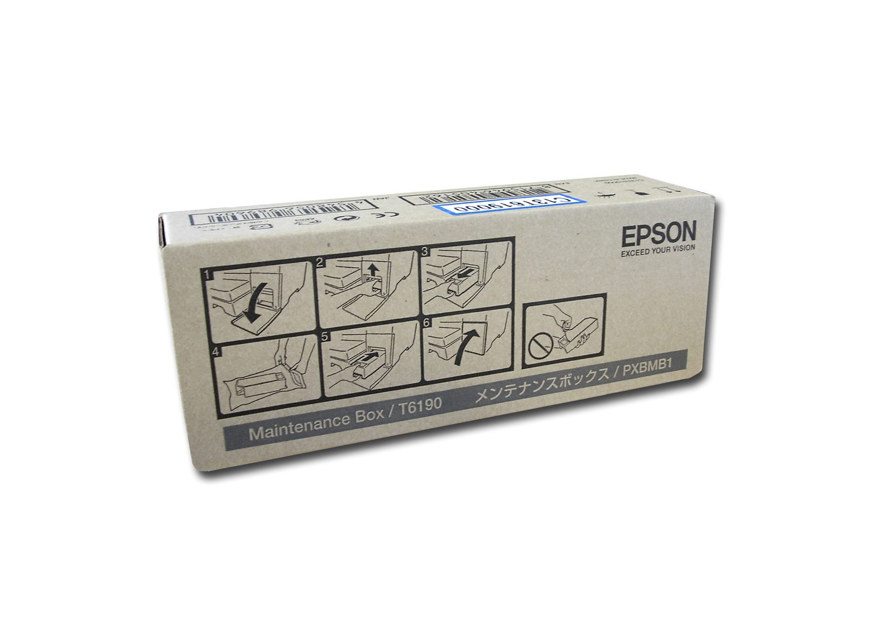 Epson C13T619000
