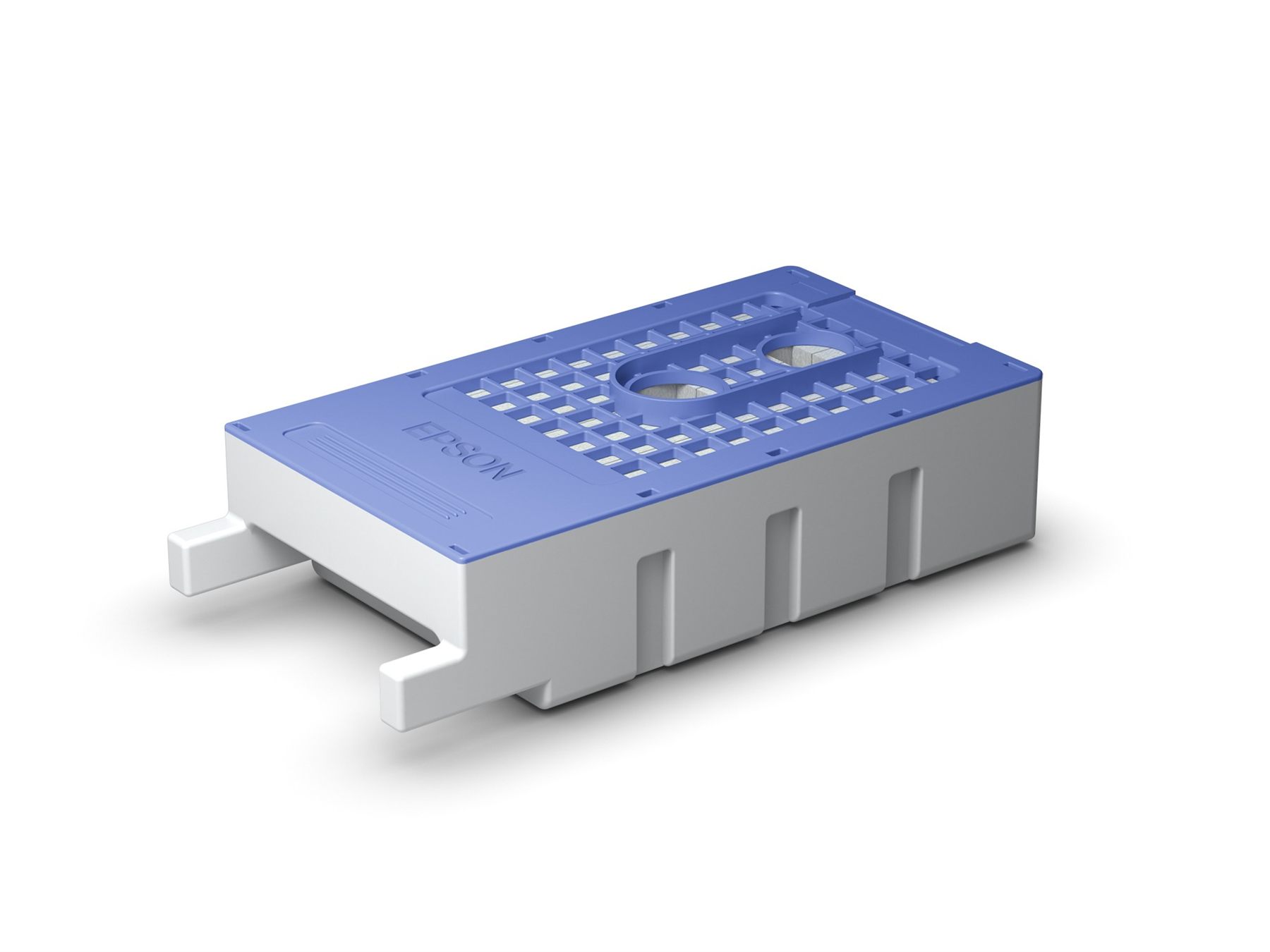 Epson C13T619300