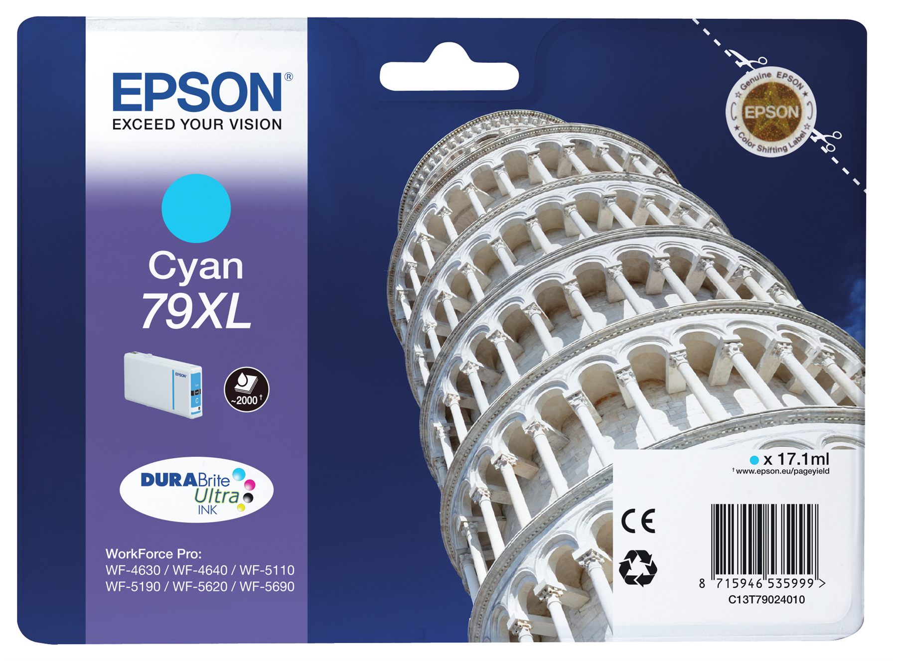 Epson C13T79024010
