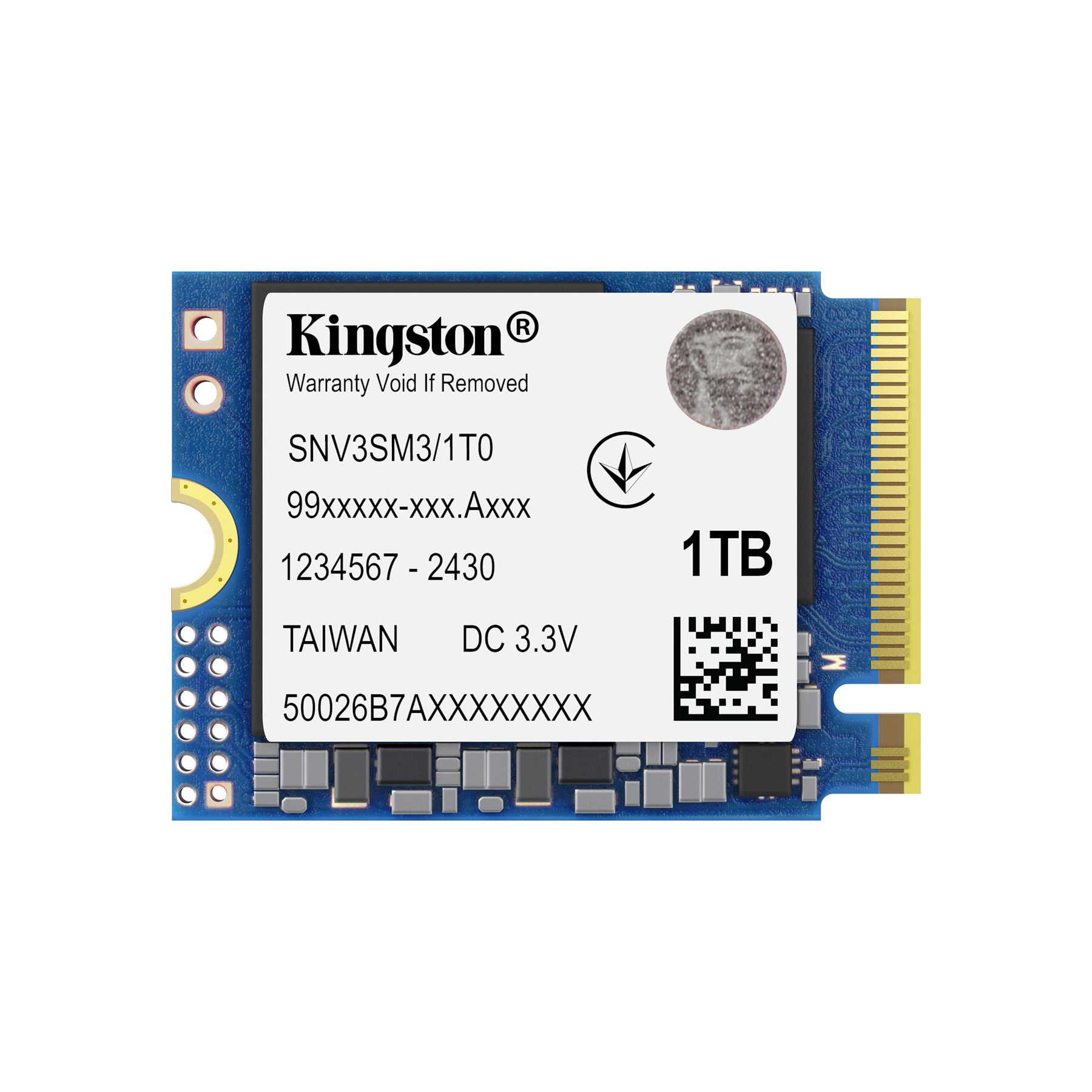 Kingston SNV3SM3/1T0