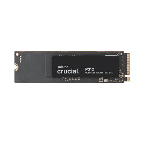 Crucial CT1000P310SSD8