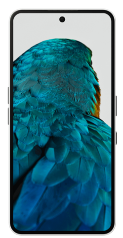 Nothing Phone (3A) 17,2 Cm (6.77") Sim Doble Android 15 5G Usb Tipo C 12 Gb 256 Gb 5000 Mah Negro