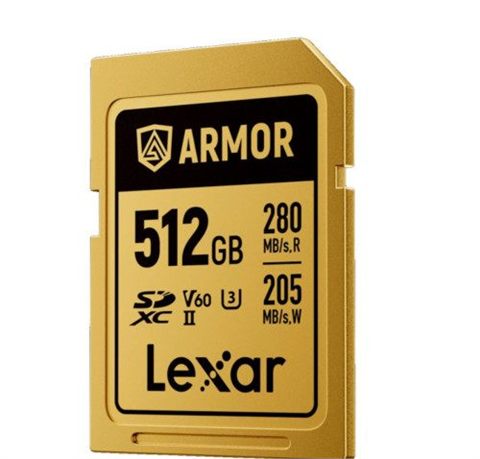 Lexar 512 GB Professional Armor Gold Sdxc Uhs-Ii Cards, Up To 280 MB/S Read 210 MB/S Write C10 V60 U3,Stainless Steel Casing, Ip68