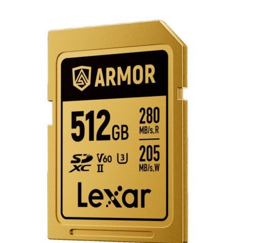 Lexar 512 GB Professional Armor Gold Sdxc Uhs-Ii Cards, Up To 280 MB/S Read 210 MB/S Write C10 V60 U3,Stainless Steel Casing, Ip68