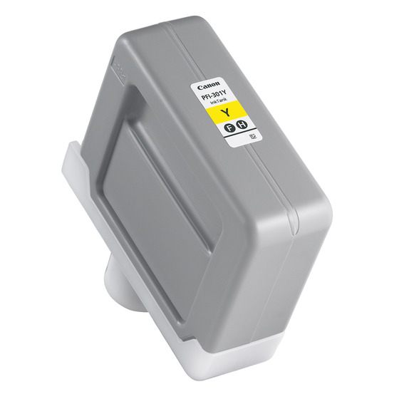 PFI301Y