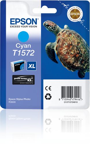 C13T15724010