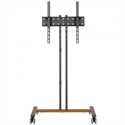 Aisens FT55TE-213 - 