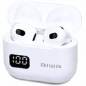 Aiwa EBTW-100WT - 