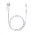 Apple ME291ZM/A - Cable Conector Lightning A Usb 50Cm - Tipo Conector Externo: Lightning; Tipología Específi