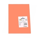 Canson C32127S014 - Cartulina Color Coral De 185 G Formato A3. Ofrece Dureza Y Regularidad En Su Superficie. I