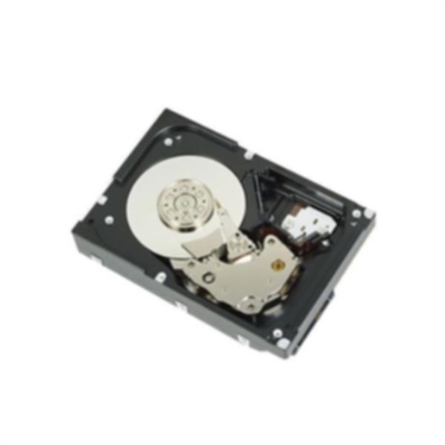 Dell-Technologies 400-AUPW 1Tb 7.2K Rpm Sata 6Gbps 512N 3.5In Cabled Hard Drive Ck - Capacidad: 1000 Gb; Interfaz: Serial Ata Iii; Tipología: Interno; Tamaño: 0 ''; Velocidad De Rotación: 7200 Rpm; Velocidad De Transmisión: 6000 Mbit/S; Buffer: 0 Mb