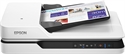 Epson B11B244401PP - 