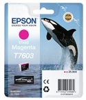 Epson C13T76034N10 - Epson Surecolor Sc-P600 Cartucho Magenta Vivo