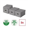 Esselte 628287 - Caja De Almacenamiento Color Gris De Carti¿½N Con Tapa Extrai¿½Ble Y 2 Asas De Transporte 