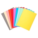 Exacompta 410000E - Subcarpeta Colores Surtidos Fabricada En Cartulina Reciclada Certificada Angel Azul Y Gram