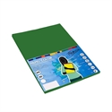 Fabrisa 16972 - Pack De Papel De 80 G/Mi¿½ En Formato A4 Y Color Verde Oscuro. Cada Pack Contiene 500 Hoja
