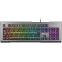 Genesis NKG-1622 - DescripciónGenesis Rhod 500 Rgb. Formato Del Teclado: Estándar. Estilo De Teclado:Derecho.