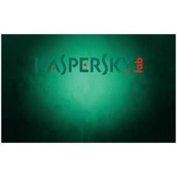 Kaspersky KL4221XATDJ Kaspersky Security For Storage European Edition. 250-499 User 2 Year Governmental Renewal License - 