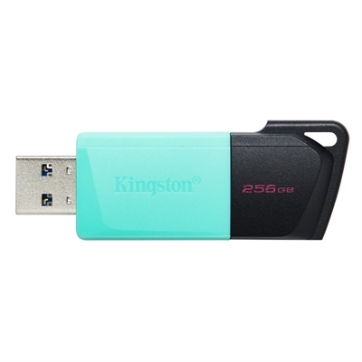 Kingston DTXM/256GB Especificaciones Técnicas  Velocidad De Lectura: 5 Gbit/S Capacidad: 256 Gb Usb: Si Color Del Producto: Negro / Rosa