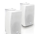 Ld-Systems LDCWMS42W100V - LD SYSTEMS CWMS42W 100V. Altavoces para montar en pared de la serie Contractor con un woof