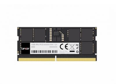 Lexar LD5S16G56C46ST-BGS Lexar LD5S16G56C46ST-BGS. Componente para: Portátil, Memoria interna: 16 GB, Diseño de memoria (módulos x tamaño): 1 x 16 GB, Tipo de memoria interna: DDR5, Velocidad de memoria del reloj: 5600 MHz, Latencia CAS: 46